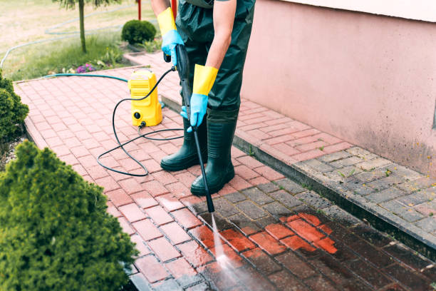 Best Gutter Cleaning and Brightening in North Oaks, MN