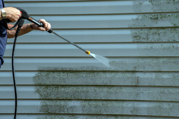 Best Pool Deck Cleaning in North Oaks, MN
