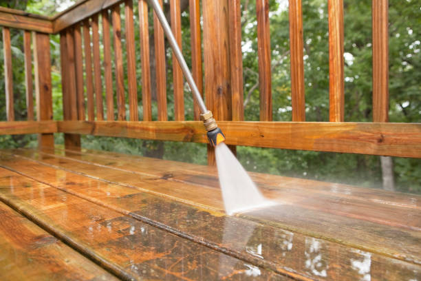 Best Vinyl Siding Pressure Washing in North Oaks, MN